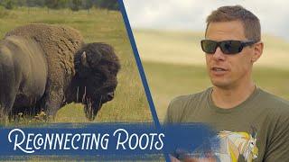 How Hunters Wiped out the American Buffalo - and Brought Them Back (with Steven Rinella)