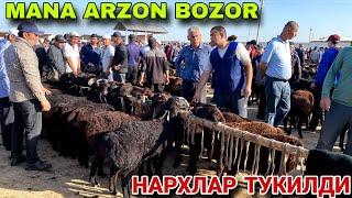 4 МАЙ КАШКАДАРЁ ВИЛОЯТИ КАРШИ КАРВОН МОЛ БОЗОРИ НАРХЛАРИ 2025. КУЙ КУЗИ НАРХЛАРИ 2025.