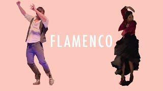 I Went to a Flamenco Show in Spain