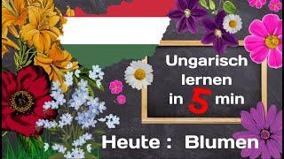 Ungarisch Lernen  -  Heute  :  Die Blumen