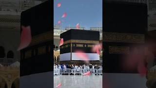 Noor Wala Aya Ha - Farhan Ali #islam #islamicshort #naat #viral #shortsviral #shorts