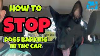 How to stop dogs barking in the car!