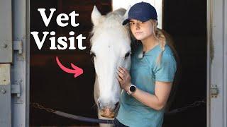 Vet Visit -Day in the Life - My Birthday - Riding