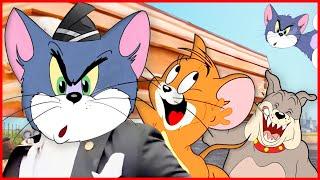 Tom & Jerry Play Music - Coffin Dance Song (COVER)