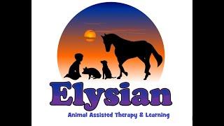 Elysian Animal Assisted Therapy & Learning - Introduction