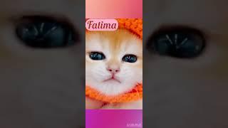Fatima ️ #comedy  #namechallenge#viral  #funny #Khan videos