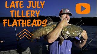 Late July Tillery Flathead Fun  (Ep. 7 Season 2)