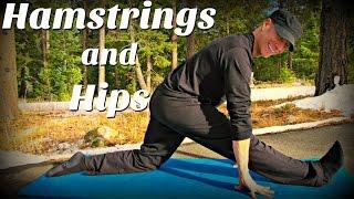 Day 2 - Hamstrings and Hips Yoga Stretch | 7 Day Flexibility Challenge | Sean Vigue Fitness