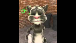 polski test film talking tom pl