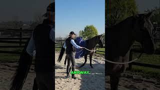 Horse Training: Teaching Distance Control