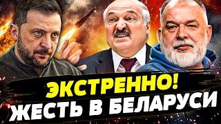 ЛУКАШЕНКО ВСТУПАЕТ В ВОЙНУ! КЕЛЛОГ СРОЧНО СОРВАЛСЯ В МИНСК! ЖЕСТОЧАЙШАЯ МЕСТЬ ЗА КИЕВ | ШЕЙТЕЛЬМАН