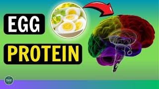 6 Reasons Why Eggs Are The #1 Healthiest PROTEIN In The World| Healthy Life 88