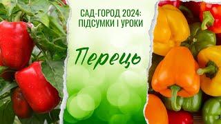 ️️️Як отримати урожай перцю у складних погодних умовах і зберегти його до Різдва