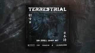 [FREE] TERRESTRIAL | UK/NY Drill Loop Kit | Drill Sample Pack 2024 (DARK/VOCALS/ETHNIC)