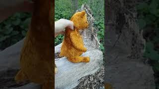 Teddy Goldy
