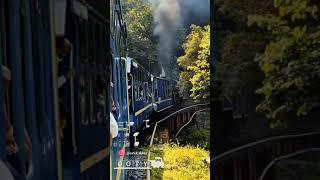 #Ooty ️ Toy Train /Tamil Whatsapp status/#ootytoytrain vlog in 30sec /nature #tamilwhatsappastatus