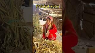 Palakat xotin  #komedi #rek #kulgu #comedy #uzbek #vines #kazakhstan #funny #uzbekistan