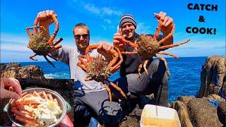Giant SPIDER CRAB - Catch Clean Cook ! Crab Wheeling for SPIDER CRAB