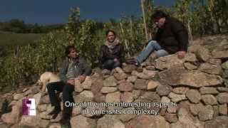 Understanding Rhone Valley wines with Jean-Luc Colombo