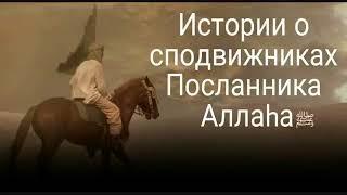 Истории о сподвижниках - Абу Айюб аль Ансари