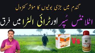 Comparison between Tri ultra and Atlantis Super herbicide | Wheat weedicides | Abid Ali Agrarian