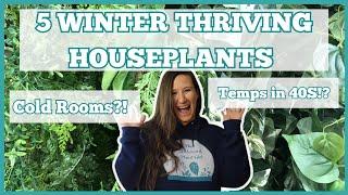 The Best Cold Tolerant Houseplants! Grow These Plants for Thriving Indoor Plants This Winter!