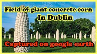 Field of giant concrete corn in dublin captured on google earth - creepy places - weird places