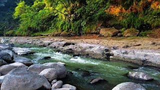 The Sound of Peaceful Mountain River, Relaxing  Nature Sounds for Relaxation, Meditation