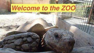 Oregon zoo 2020/Добро пожаловать в зоопарк!!!