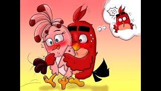 Angry Birds Red x Stella VDO music