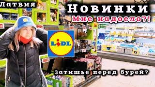 Латвия Зашла в Lidl Новинки Затишье перед бурей? Кто в поход? #рекомендации