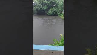Rimjhim gire sawan
