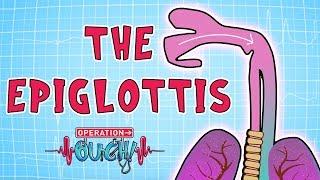 Operation Ouch - The Epiglottis | Science for Kids