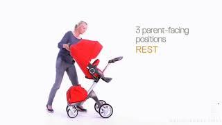 Bugatti Stroller ( 2in1, 3in1 Stokke brand, V6 Dsland brand and V8 Dsland)