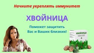 Хвойница обзор средства для укрепления иммунитета