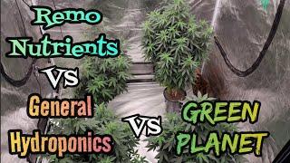 Remo Nutrients Vs General Hydroponics vs Green Planet    #MarshydroADLITE #MarsHydroFCE8000