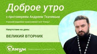 Толпа ищет крови. Великий Вторник. о. Андрей Ткачев. Кесарю - кесарево, зло ищет оправдания.