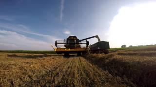 Żniwa 2016 z nowym nabytkiem New holland cx5080