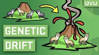 Genetic Drift Explained in Under 2 Minutes!