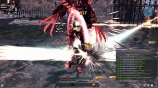 Vindictus - Level 48 Delia - Hard Blood Lord - Solo - No Healing or Transformation