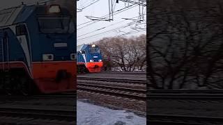 Редкий СИНИЙ поезд тепловоз 2ТЭ25К-0014 #barsikmyr #поезд #поезда #ржд #словопацана #shorts