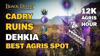 BDO | Best Agris Spot Ever - Cadry Ruins Dehkia | Tips&Tricks | Everything You Need to Know | Guide