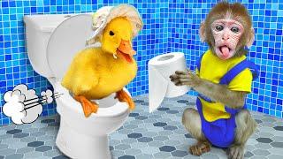 Monkey BuBu Clean the Toilet and Take a Bath with Little Monkey - MONO BUBU ESP