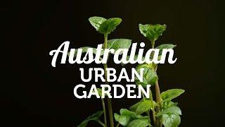 The New Australian Urban Garden
