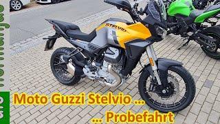 Moto Guzzi Stelvio Probefahrt. Ich bin echt überrascht!