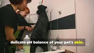 Transform Your Pet's Coat with FurryFix!