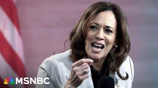 ‘It’s Harris’ race to lose’: Fmr. Bush advisor says Harris has positive signs under the radar