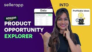 Amazon Product Opportunity Explorer: The Ultimate Guide to Data-Driven Decision Making