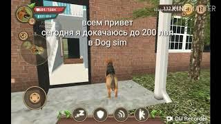 Качаюсь до 200 лвл в Dog sim