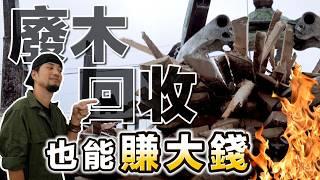 In Taiwan, generating electricity by "burning wood" is surprisingly feasible!【Super Serious Youth】